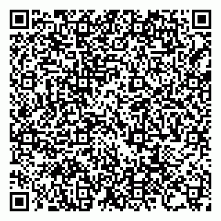 vCard 79960300033