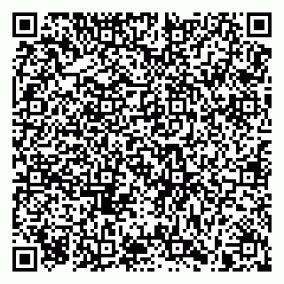 vCard 79960300217