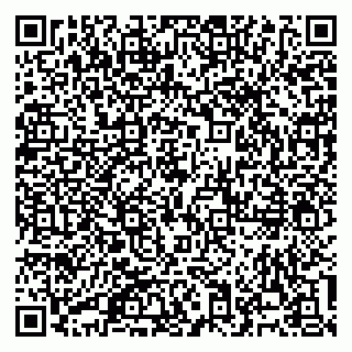 vCard 79960300294
