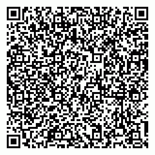 vCard 79960300331