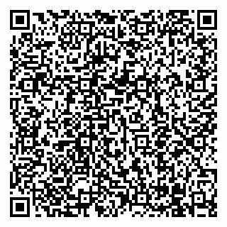 vCard 79960450215