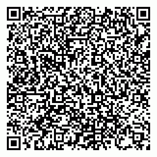 vCard 79960520138