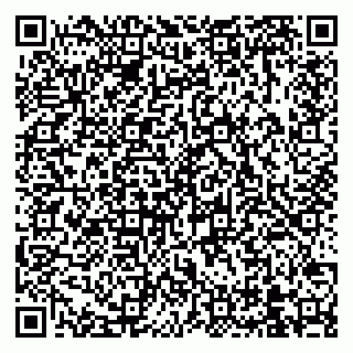 vCard 79960520339