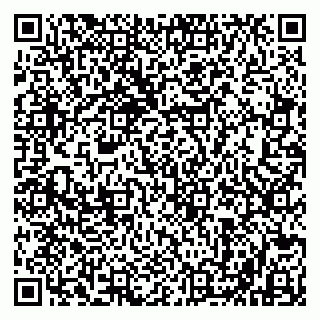vCard 79960600539