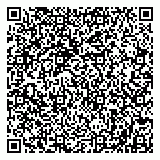 vCard 79960600540