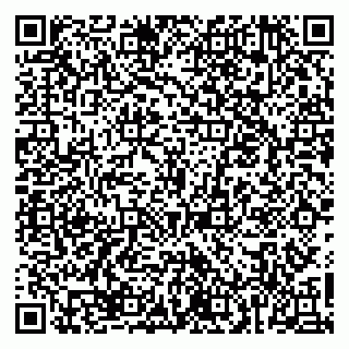 vCard 79960801321