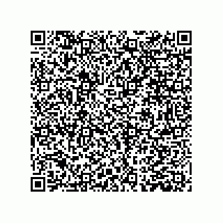 vCard 79961000380