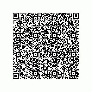 vCard 79961000511