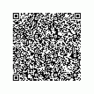 vCard 79961002673