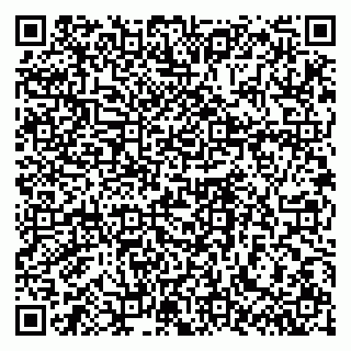 vCard 79961100371