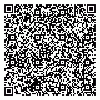 vCard 79961100379