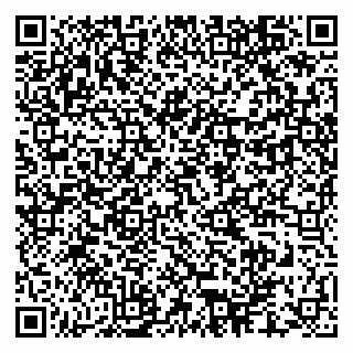 vCard 79961100393