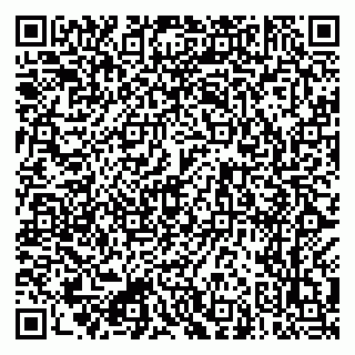 vCard 79962280333