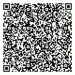 vCard 79963050131
