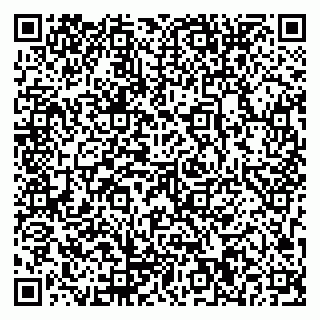 vCard 79963050303