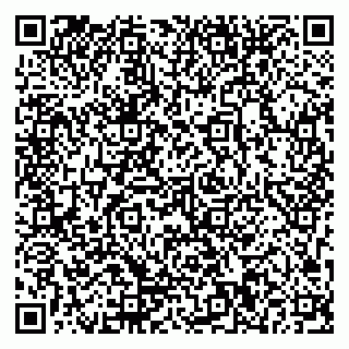vCard 79963050313