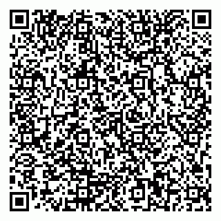 vCard 79963050379