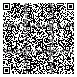 vCard 79963050381