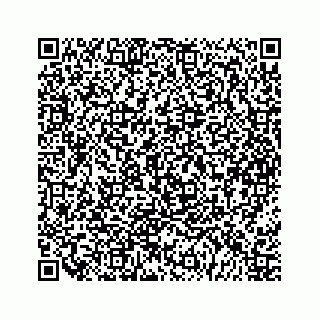 vCard 79963260002