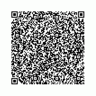 vCard 79963260003