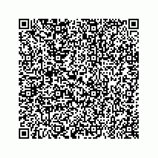 vCard 79963260006