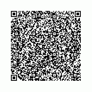 vCard 79963260008