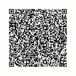 vCard 79963260013