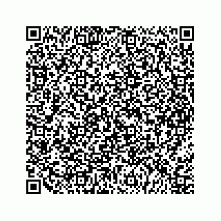 vCard 79963260021