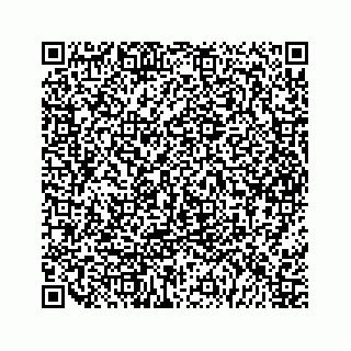 vCard 79963260027