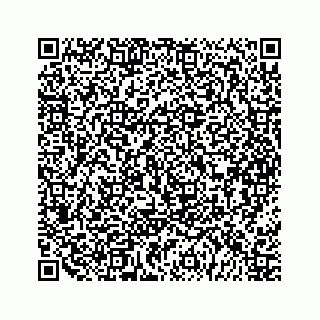 vCard 79963260028