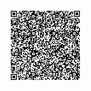 vCard 79963260029