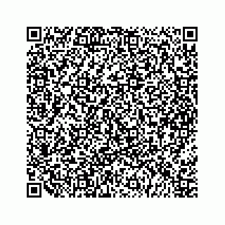 vCard 79963260032