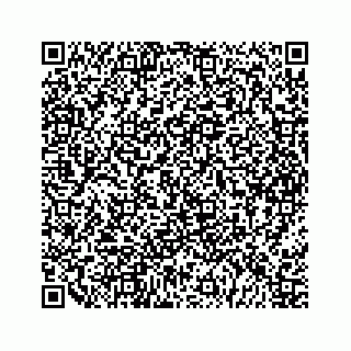vCard 79963260035