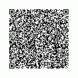 vCard 79963260036
