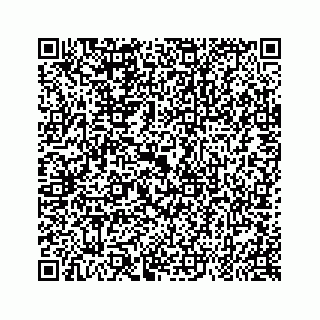 vCard 79963260041