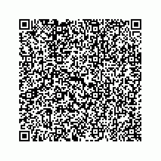 vCard 79963260051