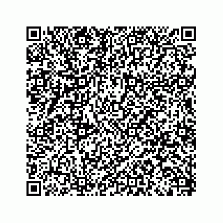 vCard 79963260053