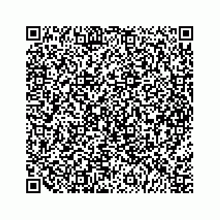 vCard 79963260060
