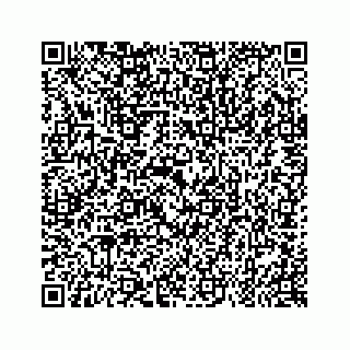vCard 79963260062