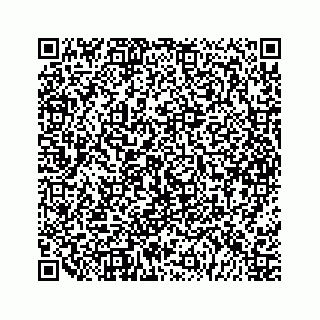 vCard 79963260063