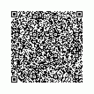 vCard 79963260064