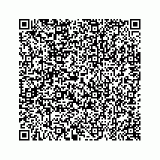 vCard 79963260065