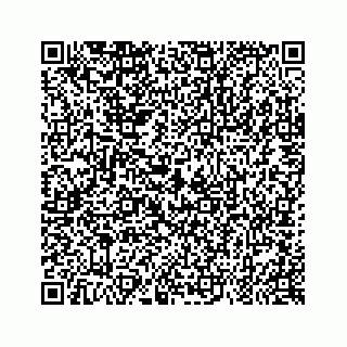 vCard 79963260069