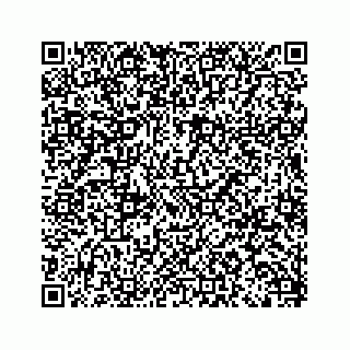 vCard 79963260073