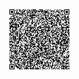 vCard 79963260074
