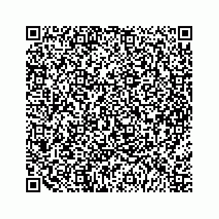 vCard 79963260080