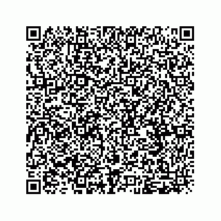 vCard 79963260083