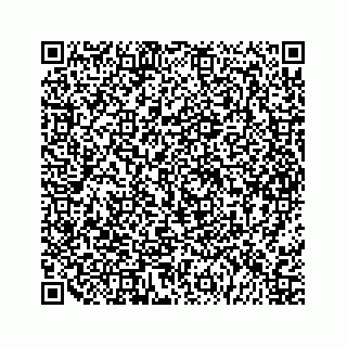 vCard 79963260085