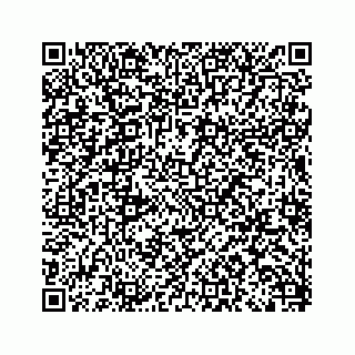 vCard 79963260086