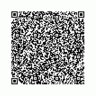 vCard 79963260087